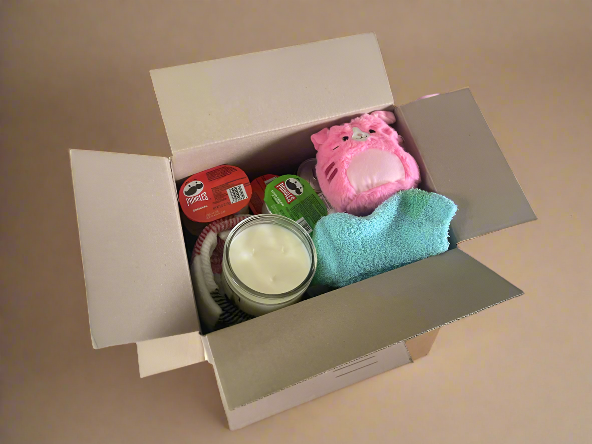 Deluxe Care Crate