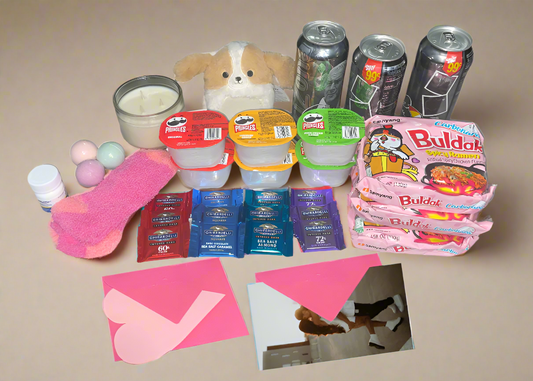 Assorted items including snacks, a plush dog toy, and drinks on a white background